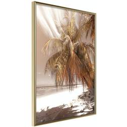 Arkiio Affisch Palm Shadow [Poster] 40x60 Poster